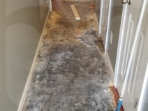 Looking toward the front door