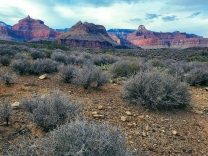 Toward Plateau Point (2)