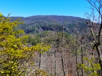 Early snap from near the top of Cabin Trail