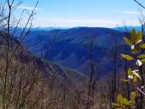 Linville Gorge as seen from the Little Table Rock trail