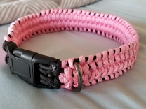 Asa's collar